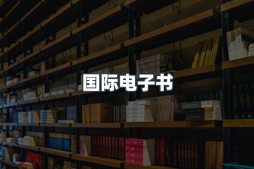 国际电子书